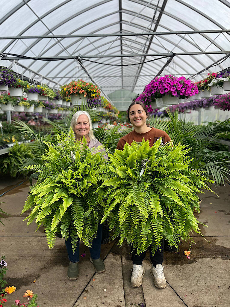 Our Story l Mazzocca's Greenhouse | Mazzocca's Greenhouse